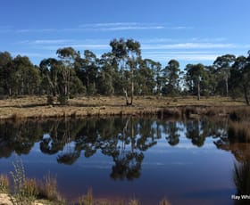 Rural / Farming commercial property sold at 779 Back Creek Braidwood NSW 2622