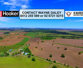 Rural / Farming commercial property sold at 6805 Warialda Road Yetman NSW 2410