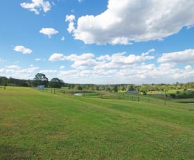 Rural / Farming commercial property sold at 131-133 Bobs Range Road Orangeville NSW 2570