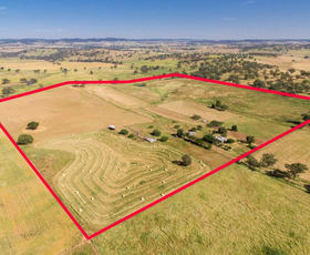 Rural / Farming commercial property sold at 61 Attenborough Lane Manildra NSW 2865