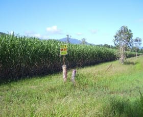 Rural / Farming commercial property sold at Copleys Road Abergowrie QLD 4850