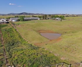 Rural / Farming commercial property sold at 105 Windermere Road Lochinvar NSW 2321