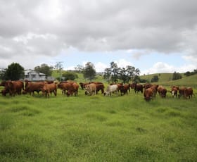 Rural / Farming commercial property sold at 14 Sankeys Road Federal QLD 4568
