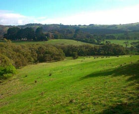 Rural / Farming commercial property sold at Lot 12 Enterprise Road Yundi SA 5172