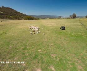 Rural / Farming commercial property sold at 146 Moore Road Burra NSW 2620