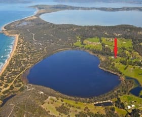 Rural / Farming commercial property sold at 2165 South Arm Road Sandford TAS 7020