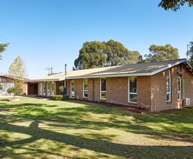 Rural / Farming commercial property sold at 1325 Bloomfield Road Crossover VIC 3821