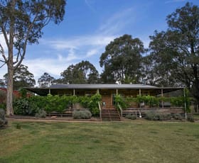 Rural / Farming commercial property sold at 135 Bell Road Belford NSW 2335