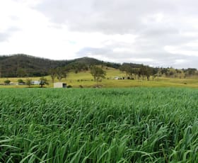 Rural / Farming commercial property sold at Gloucester NSW 2422