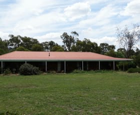Rural / Farming commercial property sold at 119 Gerogery West Road Gerogery NSW 2642