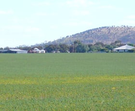 Rural / Farming commercial property sold at 32 Armstrong Road Wooroonook VIC 3525
