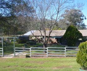 Rural / Farming commercial property sold at 390 Echo Hills Rd Dungowan NSW 2340