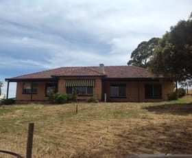 Rural / Farming commercial property leased at 22 Baker Gully Road Clarendon SA 5157
