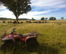 Rural / Farming commercial property sold at 989 South Valley Road Ashford NSW 2361