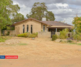 Rural / Farming commercial property sold at 805 Soldiers Settlement Road Tamworth NSW 2340