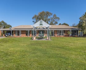 Rural / Farming commercial property sold at 145 Morisons Road Mangalore VIC 3663