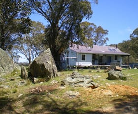Rural / Farming commercial property sold at 45 Higgins Road Nimmitabel NSW 2631