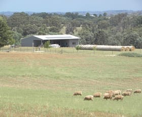 Rural / Farming commercial property sold at 42 Woodlands Road Road Young NSW 2594