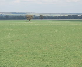 Rural / Farming commercial property sold at Temora NSW 2666