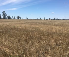 Rural / Farming commercial property sold at Narrandera NSW 2700