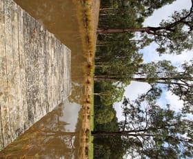 Rural / Farming commercial property sold at 128A Quince Tree Lane Congewai NSW 2325
