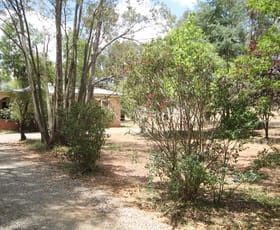 Rural / Farming commercial property sold at 99 Stanley Park Road Young NSW 2594