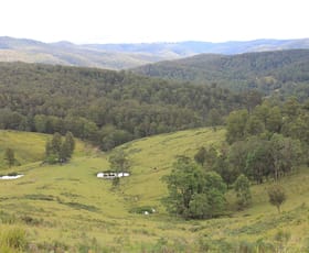 Rural / Farming commercial property sold at 23 Cells River Road Yarrowitch NSW 2354