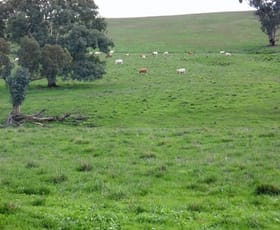 Rural / Farming commercial property sold at 1320 George Russell Dr Canowindra NSW 2804
