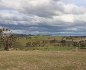 Rural / Farming commercial property sold at 9 Bosworth Falls Road O'connell NSW 2795