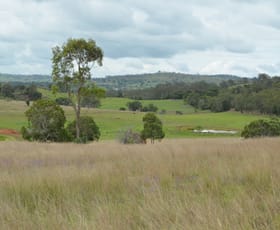 Rural / Farming commercial property sold at 77 Hill Road Groomsville QLD 4352