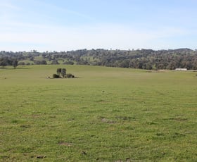 Rural / Farming commercial property sold at Kanimbla Hume Hwy Tarcutta NSW 2652