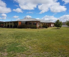 Rural / Farming commercial property sold at 171 Golden Plains Drive Quialigo NSW 2580