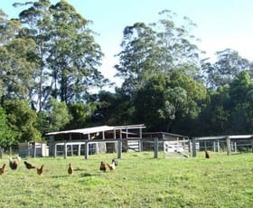 Rural / Farming commercial property sold at Gum Scrub NSW 2441