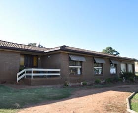 Rural / Farming commercial property sold at "Barr Creek", Coach Road Gerogery NSW 2642