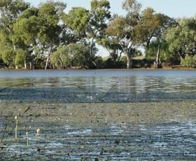 Rural / Farming commercial property sold at "COMONGIN" A Bulloo River Station of Repute Quilpie QLD 4480