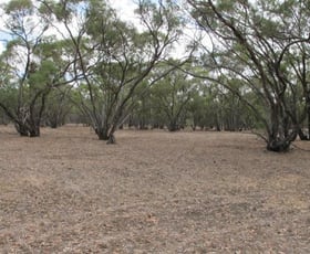 Rural / Farming commercial property sold at 100 Burnt Clay Road Lubeck VIC 3385