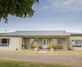 Rural / Farming commercial property sold at Bilbul NSW 2680