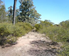 Rural / Farming commercial property sold at 172 TREGATHLYN ROAD Tara QLD 4421 Rural / Farming commercial property sold at 172 TREGATHLYN ROAD Tara QLD 4421