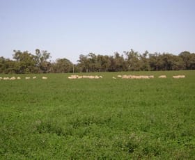 Rural / Farming commercial property sold at 1592 Casuarina Drive Gooloogong NSW 2805