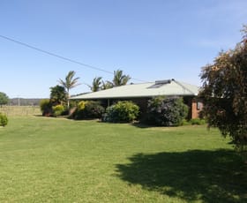 Rural / Farming commercial property sold at 2287 Clarence Way Upper Copmanhurst NSW 2460