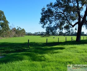 Rural / Farming commercial property sold at 1679 Somers Road Waroona WA 6215
