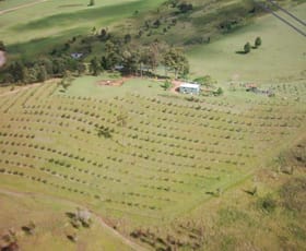 Rural / Farming commercial property sold at 906 Pipeclay Road Pipeclay NSW 2446