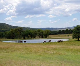 Rural / Farming commercial property sold at 332 Pringle Road Retreat NSW 2355