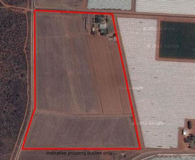 Rural / Farming commercial property sold at 18 Wareo Road Robinvale VIC 3549