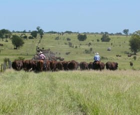 Rural / Farming commercial property sold at Kiah Taroom Roma QLD 4455