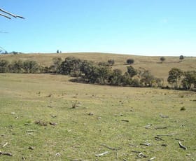 Rural / Farming commercial property sold at Lot 4 Thompsons Creek Road Wallerawang NSW 2845