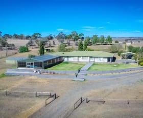 Rural / Farming commercial property sold at 288 Roberts Road Stockwell SA 5355