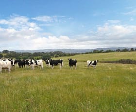 Rural / Farming commercial property sold at Lot 2 Yarragon-Shady Creek Road Yarragon VIC 3823