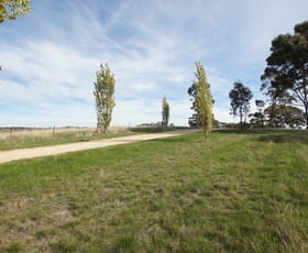 Rural / Farming commercial property sold at 949 Newstead Rd Guildford VIC 3451