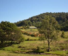 Rural / Farming commercial property sold at 184 Barrabaroo Road Cobargo NSW 2550